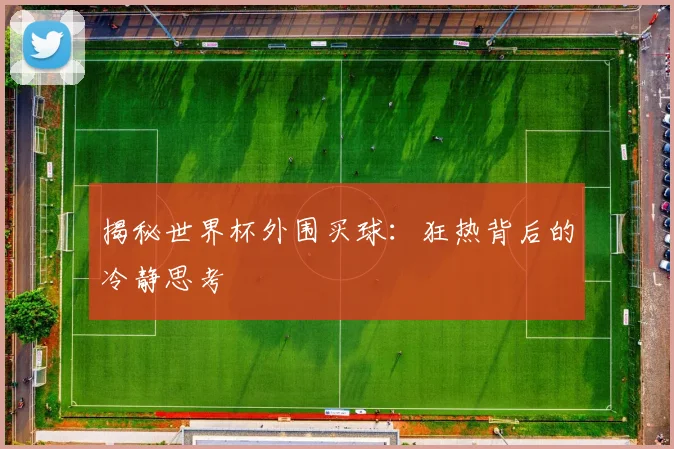 揭秘世界杯外围买球：狂热背后的冷静思考