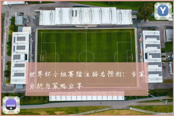 世界杯小组赛赌注排名预测：专家分析与策略分享