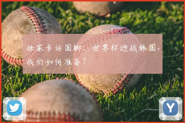 独家专访国脚：世界杯迎战韩国，我们如何准备？